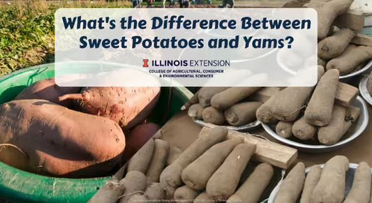 Sweet Potatoes or Yams?